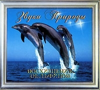 Звуки природы Восхищение дельфинов артикул 8279b.